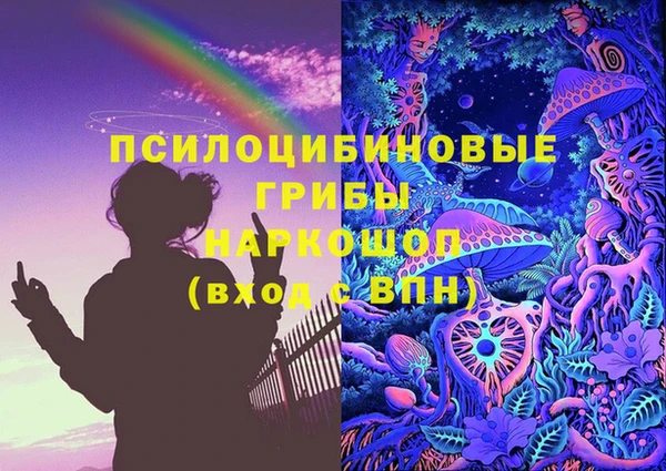 ГАЛЛЮЦИНОГЕННЫЕ ГРИБЫ Заволжье