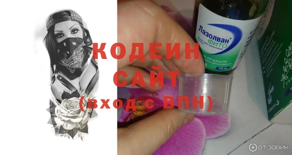 ГАЛЛЮЦИНОГЕННЫЕ ГРИБЫ Заволжье