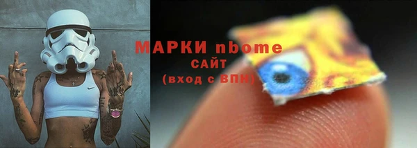 шишки Заволжск