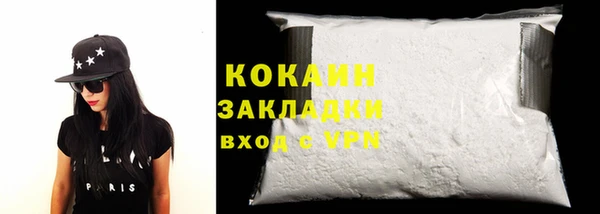шишки Заволжск