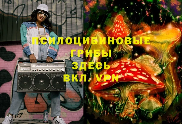ГАЛЛЮЦИНОГЕННЫЕ ГРИБЫ Заволжье