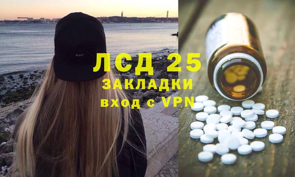 ГАЛЛЮЦИНОГЕННЫЕ ГРИБЫ Заволжье