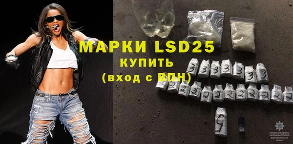 ГАЛЛЮЦИНОГЕННЫЕ ГРИБЫ Заволжье