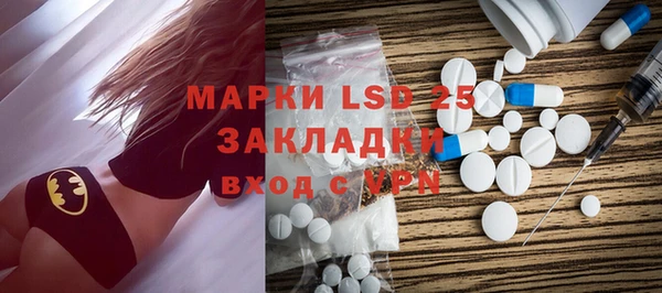 ГАЛЛЮЦИНОГЕННЫЕ ГРИБЫ Заволжье