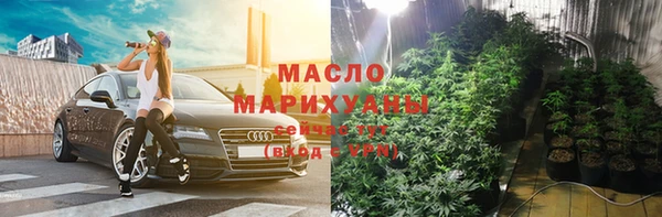 твердый Ельня