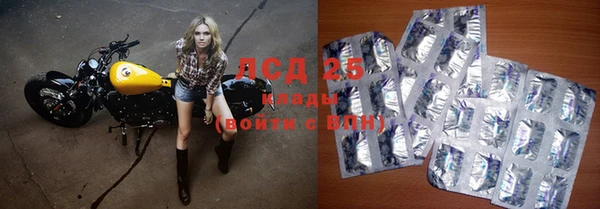 ГАЛЛЮЦИНОГЕННЫЕ ГРИБЫ Заволжье