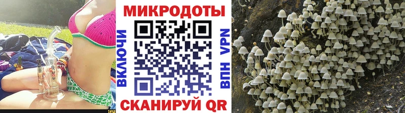 Галлюциногенные грибы ЛСД  Разумное 
